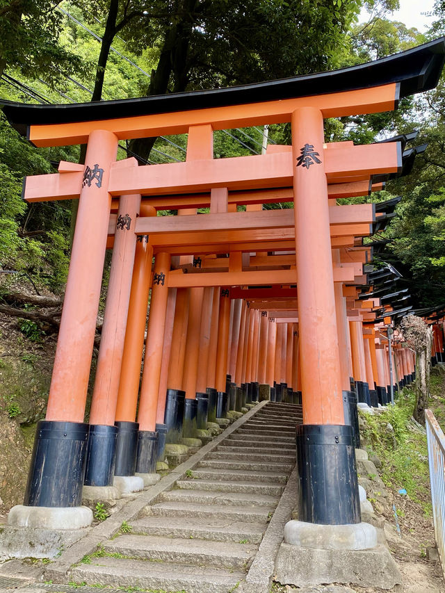 【京都】伏見稻荷大社：紅色千本鳥居隧道