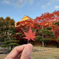 Solo travel to the most iconic Himeji Castle, Japan 🇯🇵 