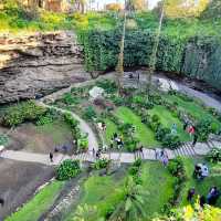 Exploring Nature’s Sunken Garden: Umpherston Sinkhole in Mount Gambier