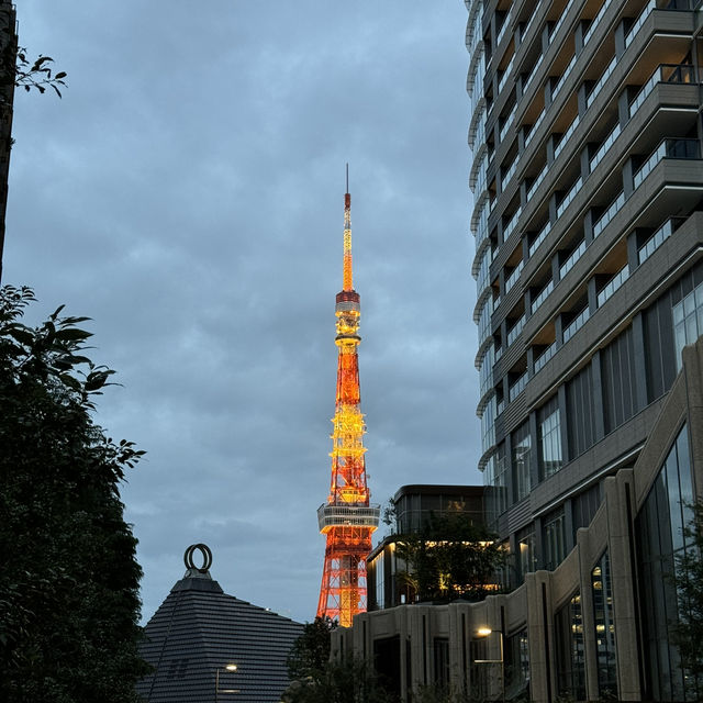 A city of endless possibilities - Tokyo 