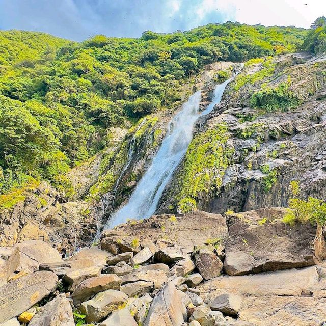 Yakushima