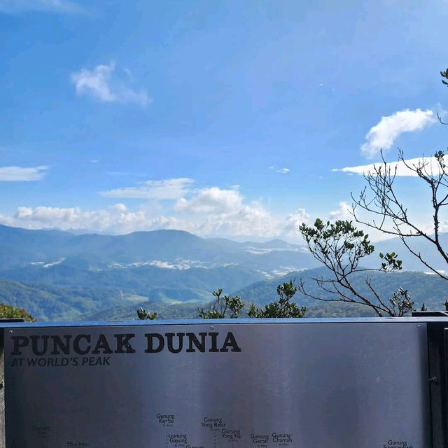 Mossy Forest, Cameron Highlands