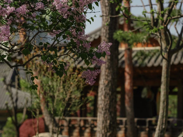 《奉恩寺——一處靜謐的心靈淨土》