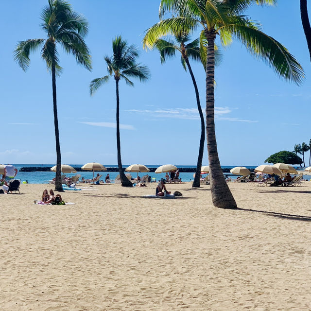 Beach Escape to Hawaii: A Tropical Paradise for Christmas