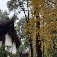 Golden Tranquility: Discover the Magic of Wenshu Yuan Monastery in Chengdu