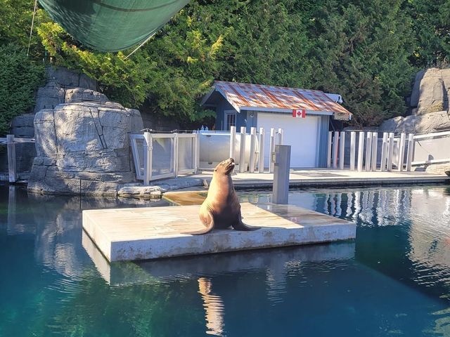 Vancouver Aquarium 🇨🇦🐟