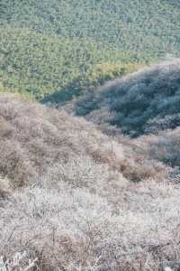 杭州初雪市區一小時可達的鸬鳥山賞雪攻略