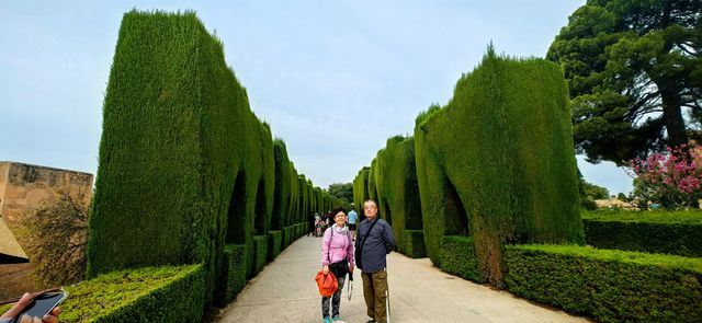 阿爾罕布拉宮花園：美不勝收。