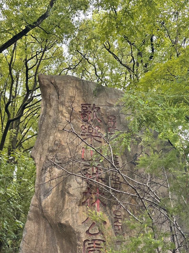 去山間浪費時間｜懸崖上的咖啡廳。