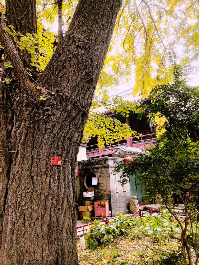 北京法源寺，無需預約，免費景點。