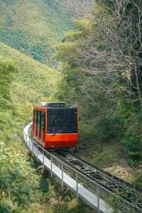 宜興挖筍之旅|南山竹海全玩但最輕鬆路線。