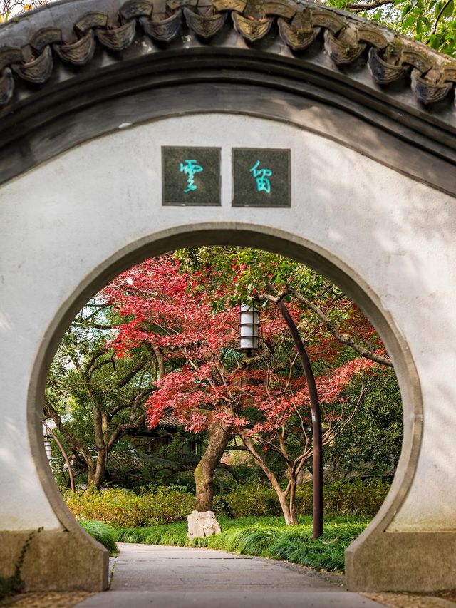 西湖邊的中式園林楓葉正紅|陰天也好拍