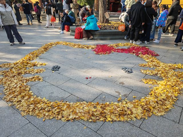 龍華寺太美了