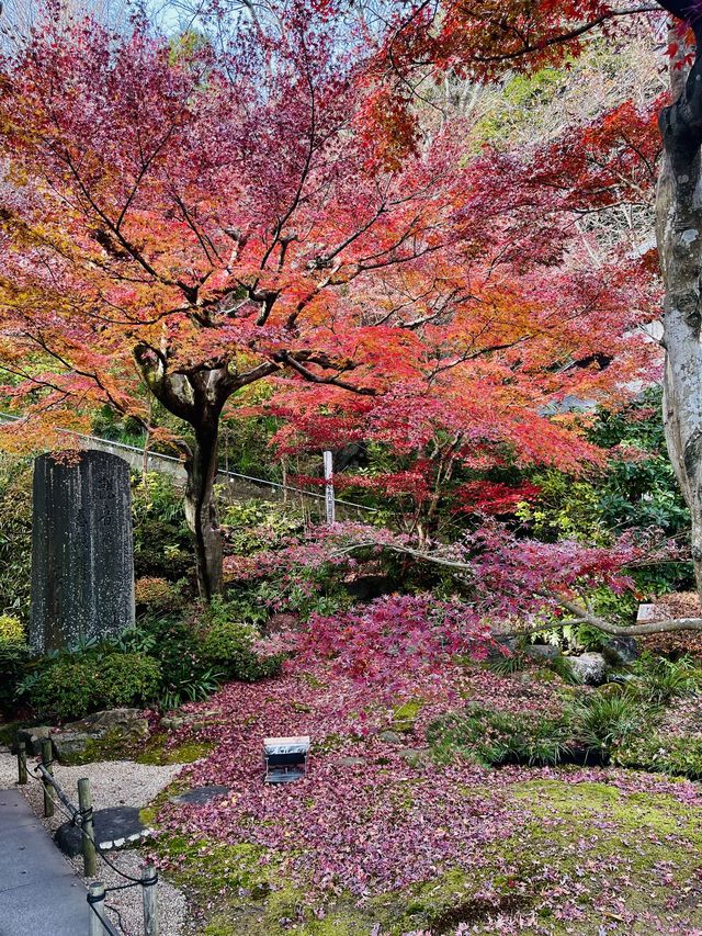 日本·神奈川鎌倉