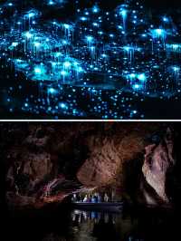 Comparison between North or South Island, Glowworm Caves in New Zealand