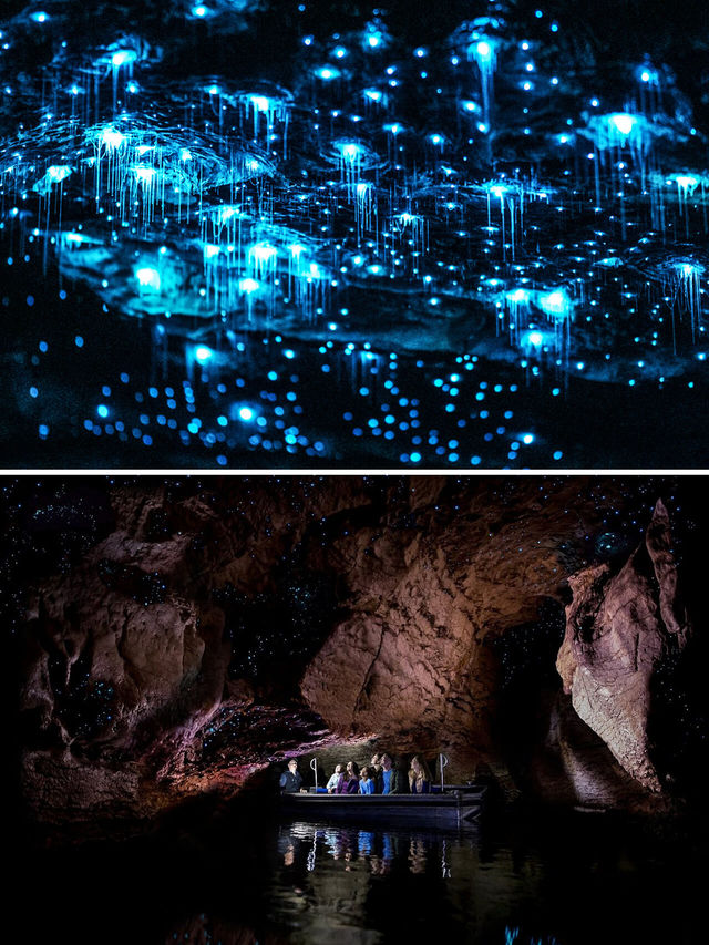 Comparison between North or South Island, Glowworm Caves in New Zealand