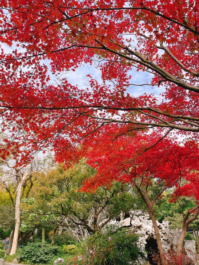 桂林冬日4日遊 美景溫暖你心