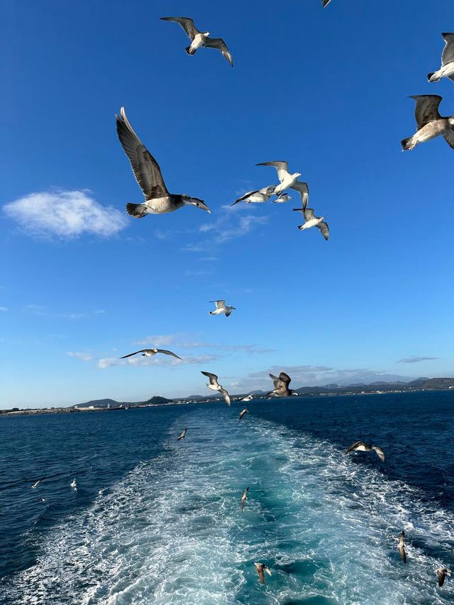 答應我 !! 去濟州島一定要去牛島呀!!