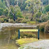 Cradle Mountain's Majestic Allure