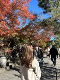 🇯🇵 京都嵐山 賞楓1日自由行🍁無需自駕遊❣️