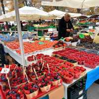 Ljubljana's center market is free to explore 