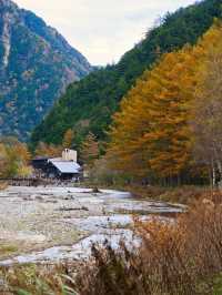 【長野】紅葉だって楽しめる🍁大自然に魅せられる絶景スポットを紹介🔍※アクセス攻略付