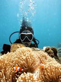 Scuba Diving At Coral Garden Bali 🪸🤿 