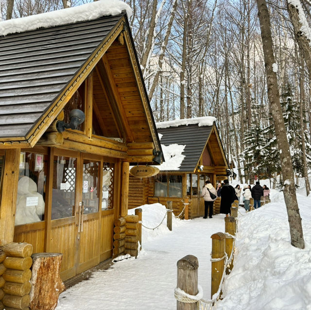 北海道冬季近郊遊😍一日玩盡旭川美瑛富良野❗️