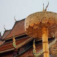 Ascending to Serenity: A Day at Wat Phra That Doi Suthep