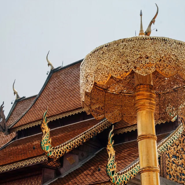 Ascending to Serenity: A Day at Wat Phra That Doi Suthep