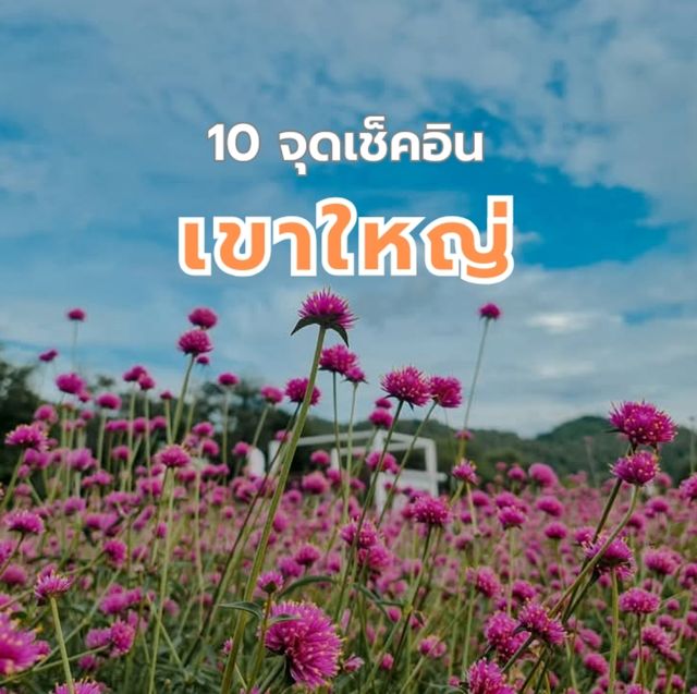 10 จุดเช็คอิน กิน พัก เที่ยว " เขาใหญ่ "