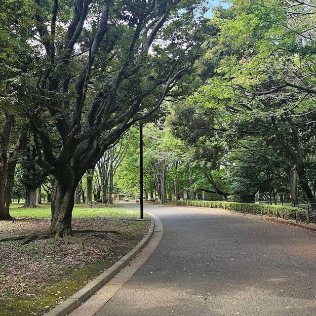 Yoyogi Park