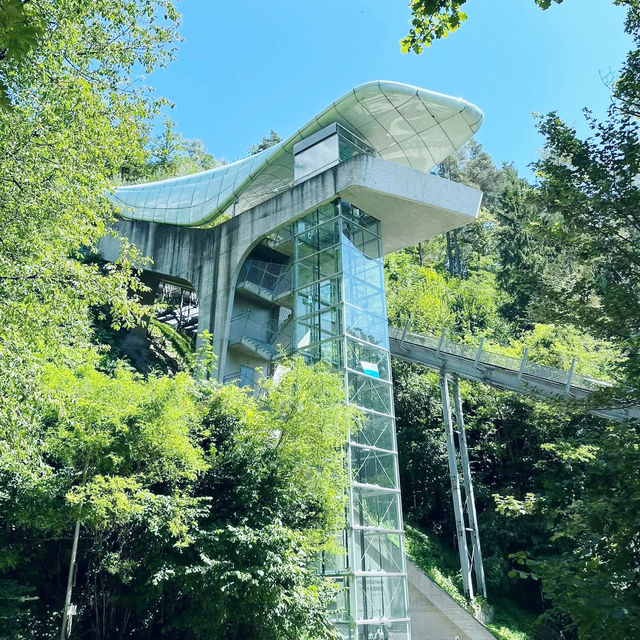 A Wild Adventure at Alpenzoo Austria 🇦🇹 