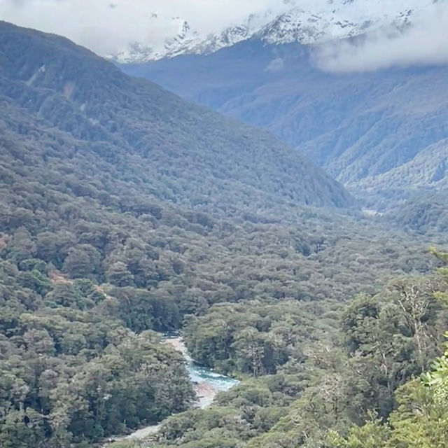 Milford Sound Unveiled: A Journey Through New Zealand’s Natural Wonderland!