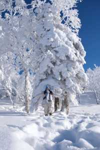 雪谷太美了，下次不會來了