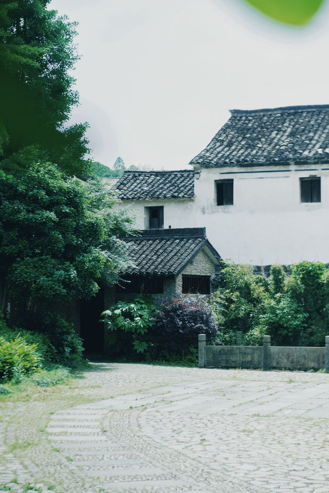 "Visit the secluded ancient villages in Jiangnan"