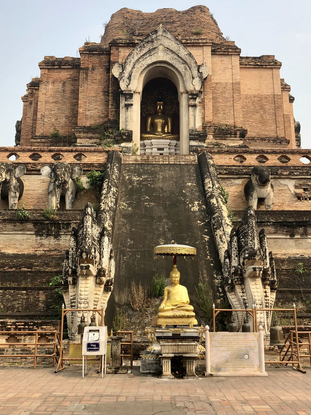 契迪龍寺｜清邁古城中心的神聖所在。