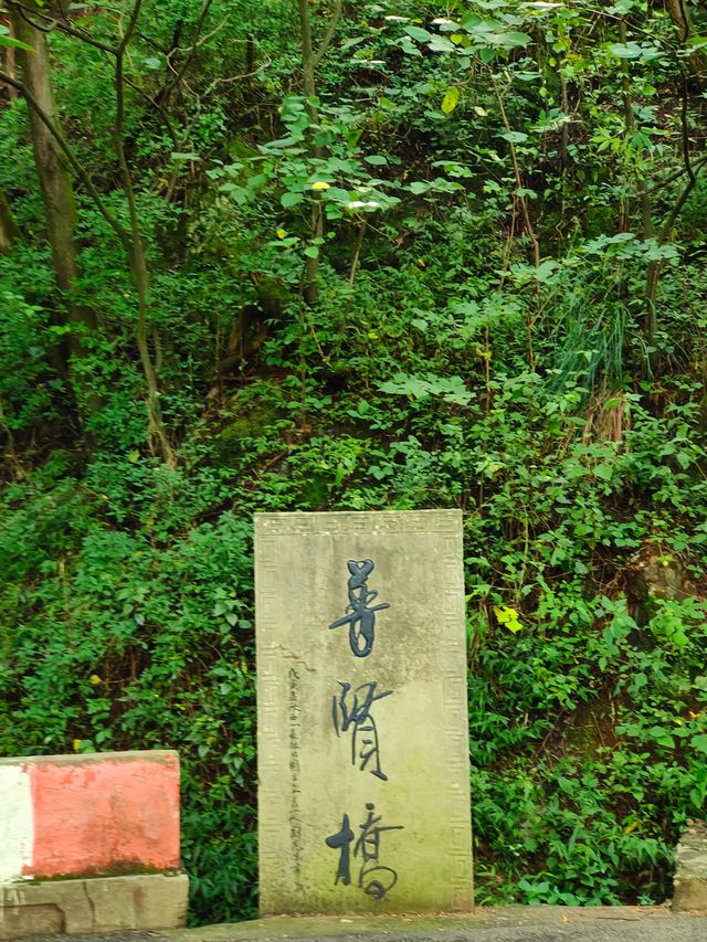 昆明周末爬山好去處—西山公園。