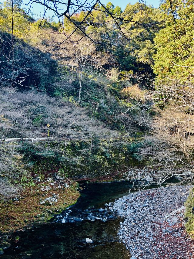 日本·京都高雄西明寺