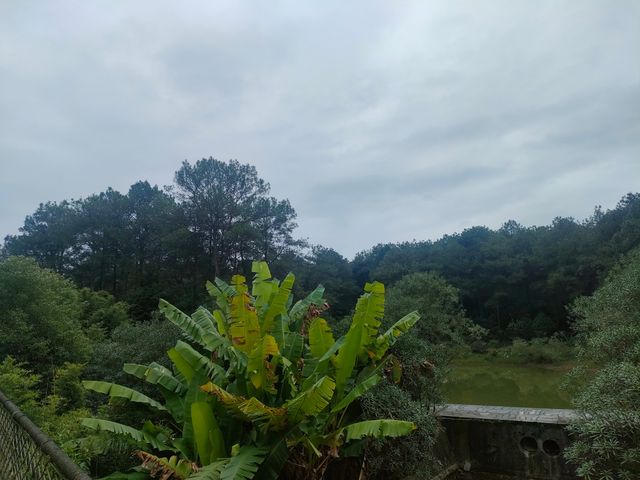 重慶雲水渡橋一日遊