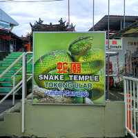 Amazing Snake Temple in Penang