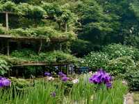 Utatsuyama Park