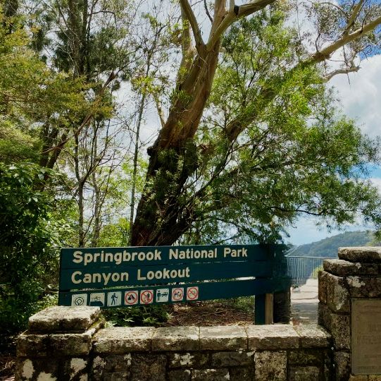 Summit to Waterfall: A Journey Through Springbrook