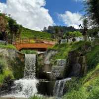 Steeped in Serenity: Bharat Tea Plantation, Cameron Highlands