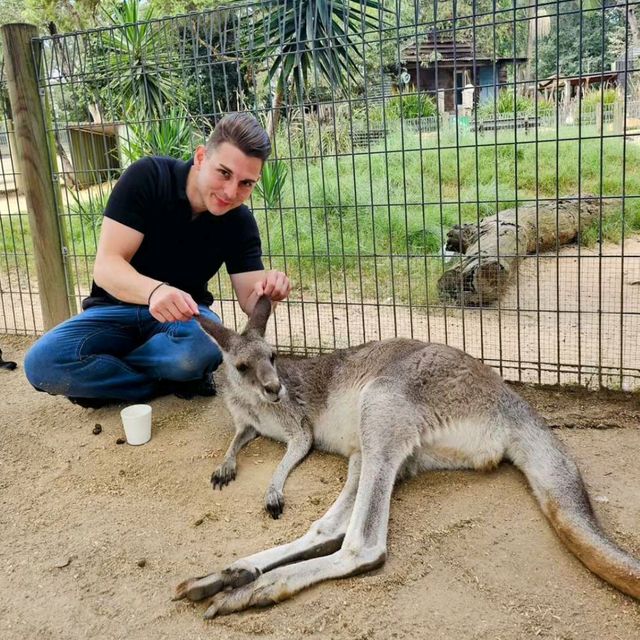 Kangaroo Island: Nature's Wonderland 🏝️🦘