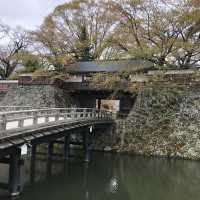 上野城：歷史傳奇與自然景緻，尋找幾分寧靜