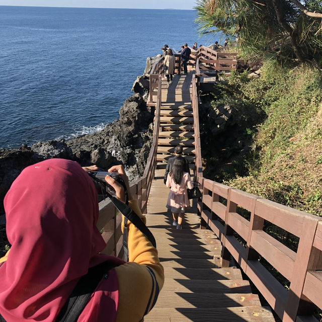 Jusangjeolli: Jeju’s Stunning Hexagonal Rock Wonderland 🇰🇷