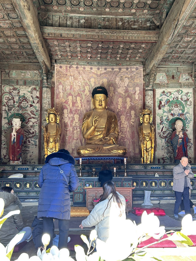 🇰🇷慶洲✈️世界文化遺產「佛國寺불국사」🍁