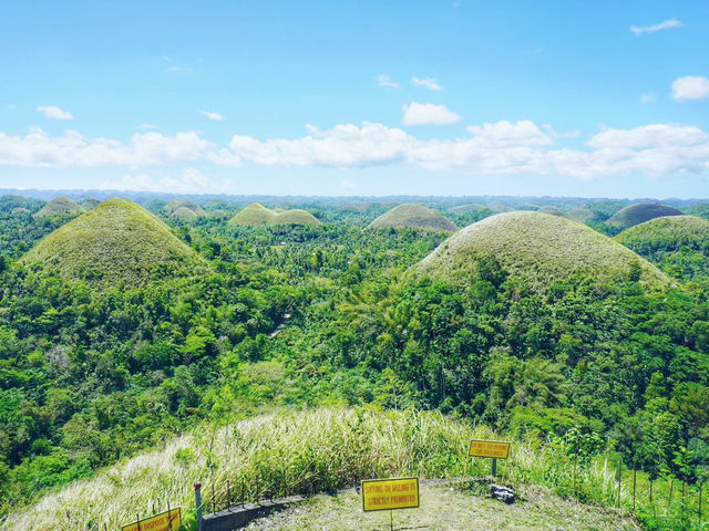 Adventure Awaits at Chocolate Hills, Bohol