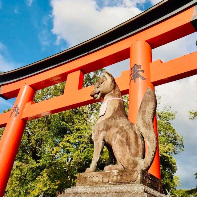 探索京都：一日文化與自然之旅